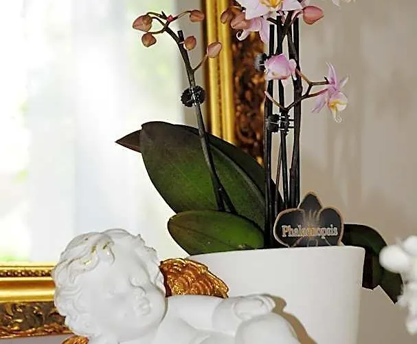 Hotel Blankenese Hamburgo
